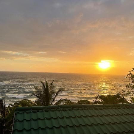 Villa Rasta - Ocean View Bungalows Port Antonio Eksteriør bilde