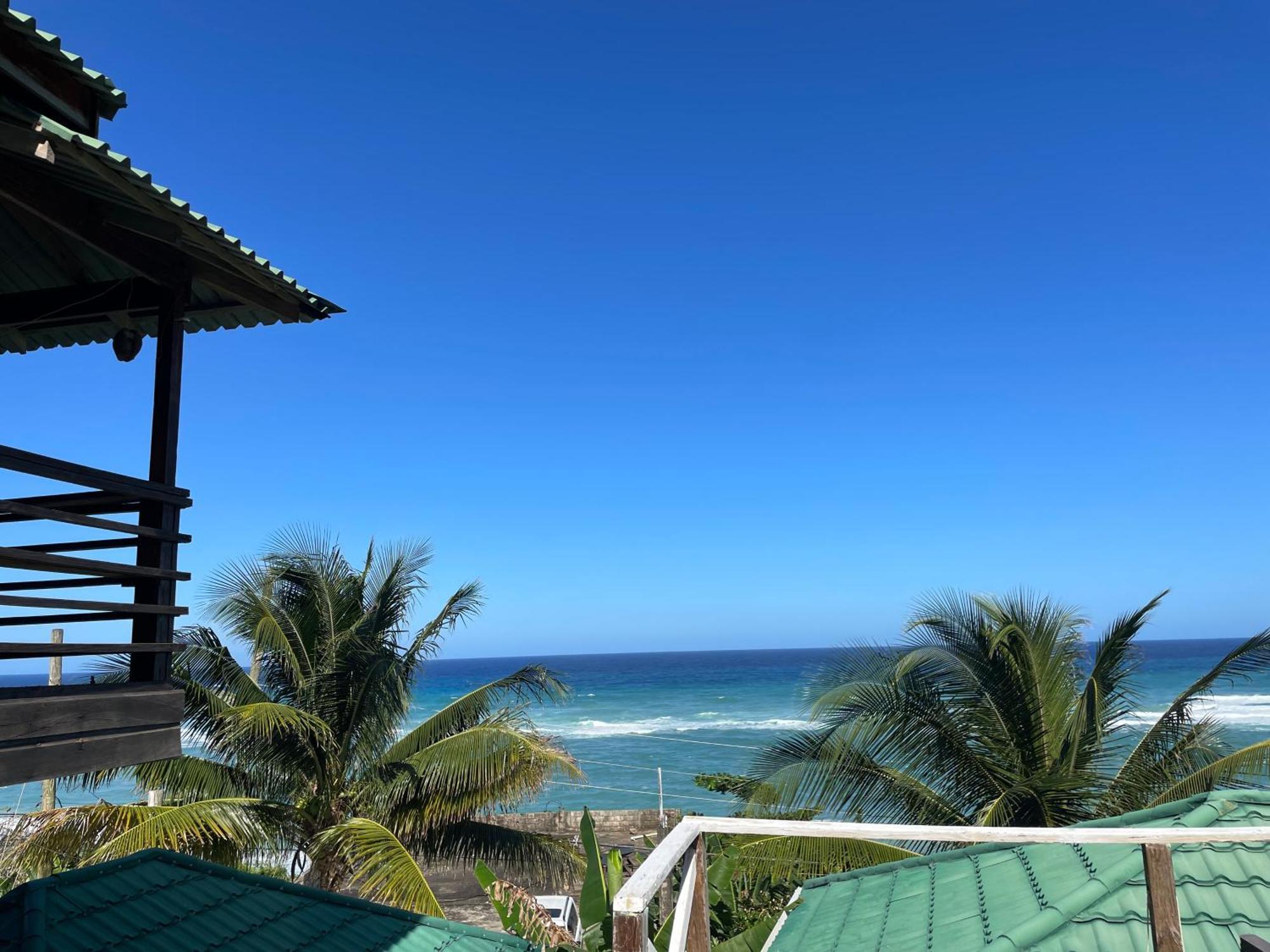 Villa Rasta - Ocean View Bungalows Port Antonio Eksteriør bilde